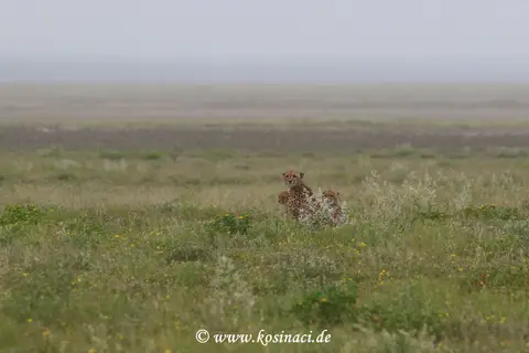 Na22_10098.JPG