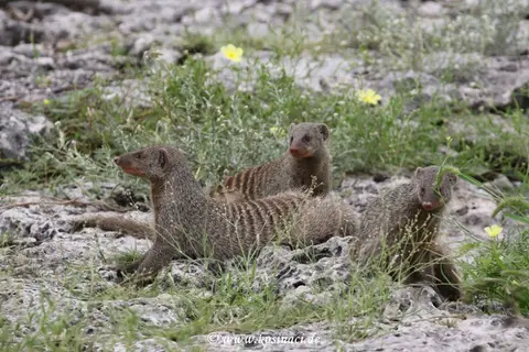Na22_10281.JPG