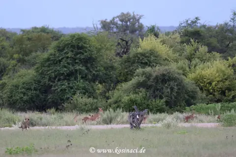 Na22_10484.JPG