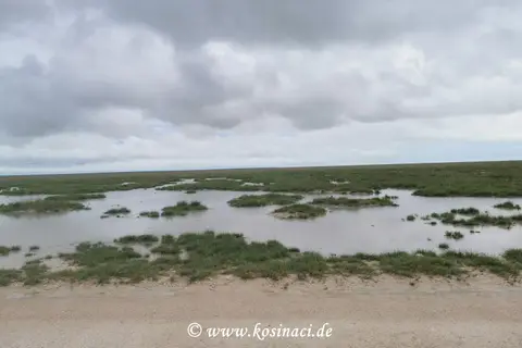 Na22_11267.jpg