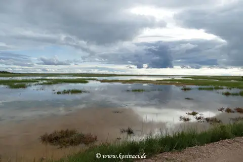 Na22_11649.JPG