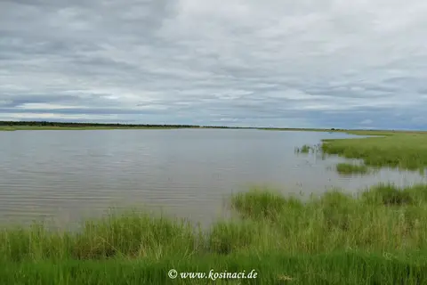 Na22_11661.JPG