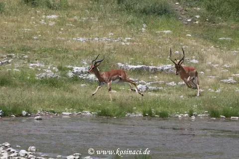 Na22_2850.JPG