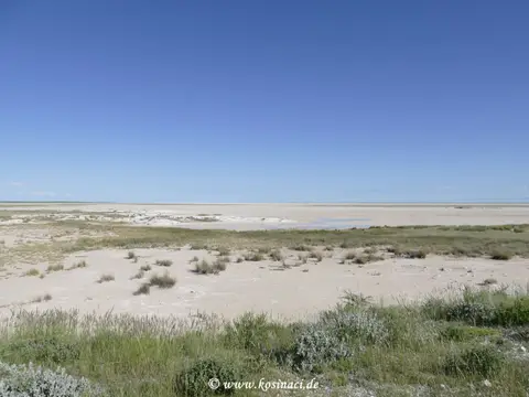 Na22_5462.JPG