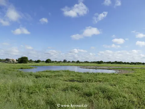 Na22_6582.JPG