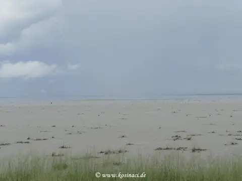 Na22_9973.JPG