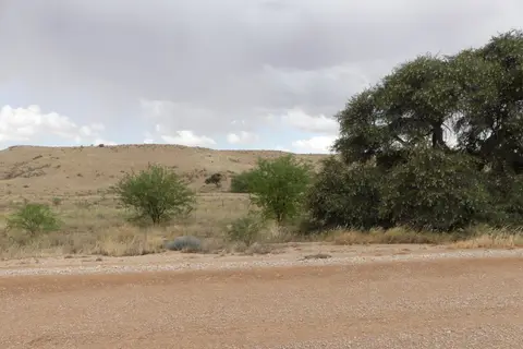 Na23_0098.JPG