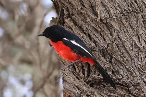 Na23_3443.JPG
