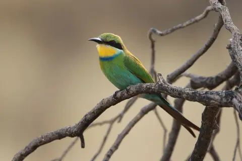 Na25b_0379.JPG
