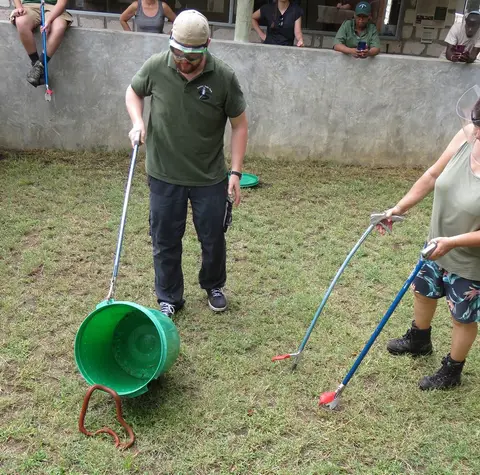 RedspittingCobrahandling1.jpg