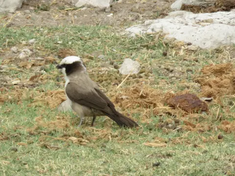 IMG_1561.JPG