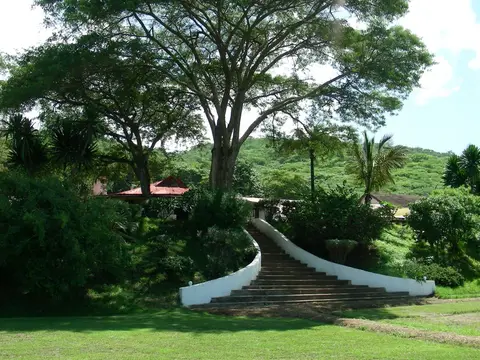 DSCN0534.JPG