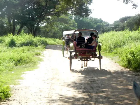 111-2.JPG