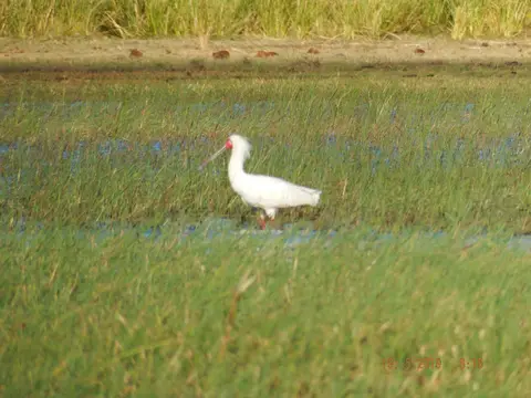 DSCF7325.JPG