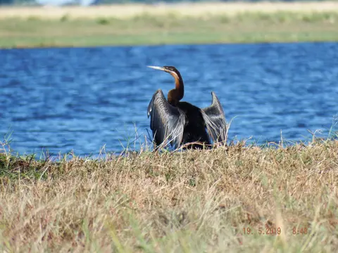 DSCF7366.JPG