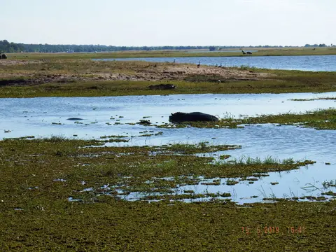 DSCF7509.JPG