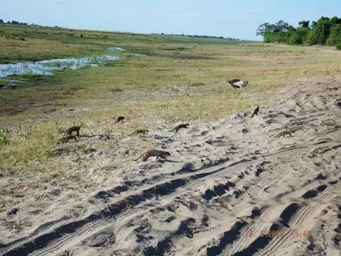 DSCF7514.JPG