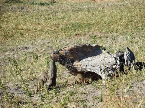 DSCF7517.JPG