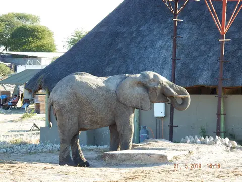 DSCF7767.JPG