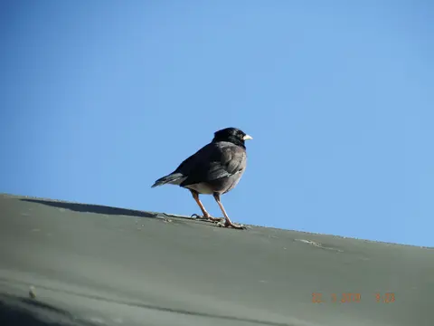 DSCF7870.JPG