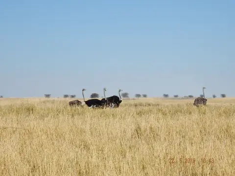 DSCF7882.JPG