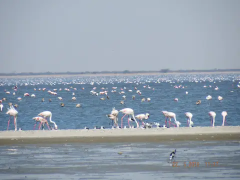 DSCF7903.JPG