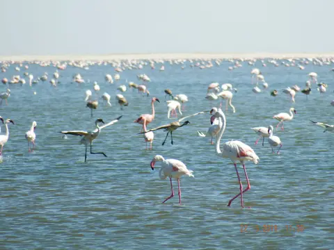 DSCF7914.JPG