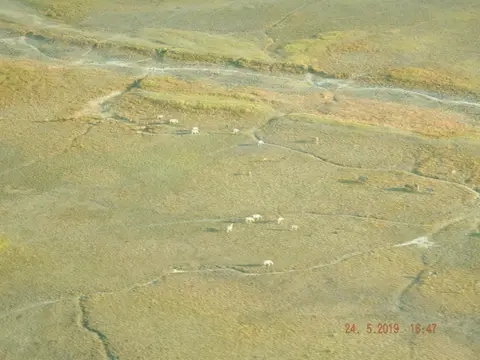 DSCF8095.JPG