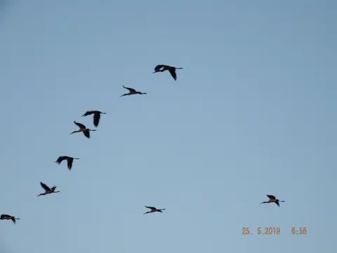 DSCF8154.JPG