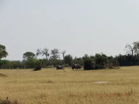 DSCF8174.JPG