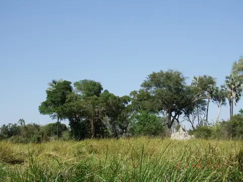 DSCF8211.JPG