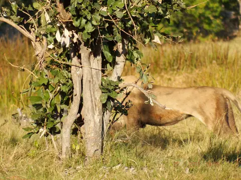 DSCF8252.JPG