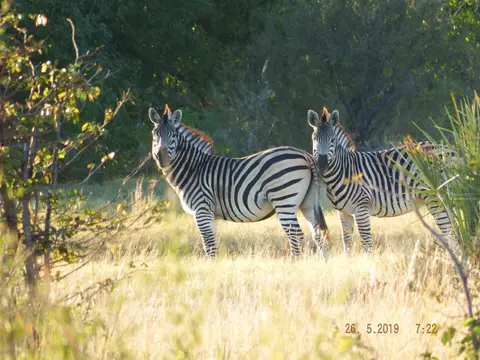 DSCF8287.JPG