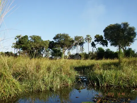 DSCF8368.JPG