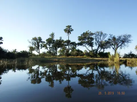 DSCF8373.JPG