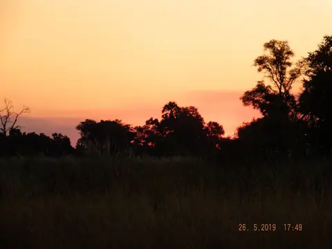 DSCF8442.JPG