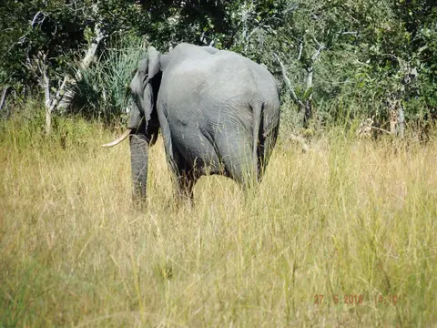 DSCF8507.JPG