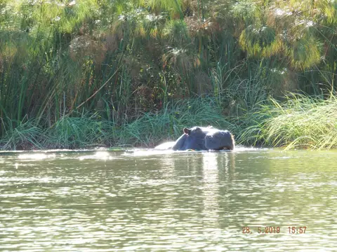 DSCF8525.JPG