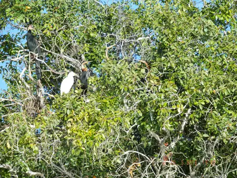 DSCF8555.JPG