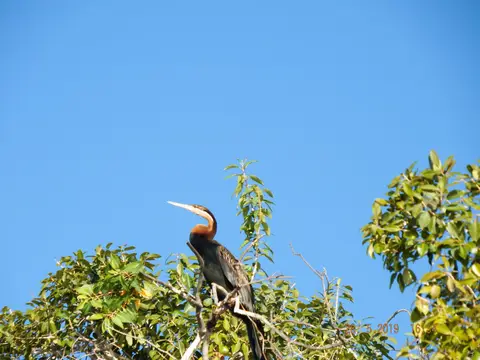 DSCF8561.JPG