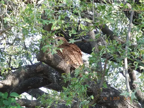 DSCF8564.JPG