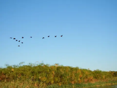 DSCF8589.JPG