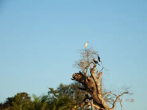 DSCF8600.JPG
