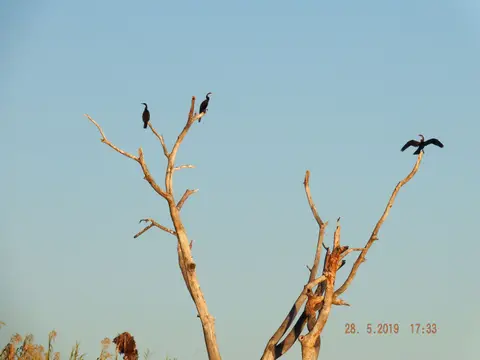 DSCF8608.JPG