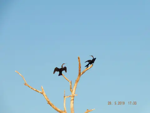 DSCF8609.JPG
