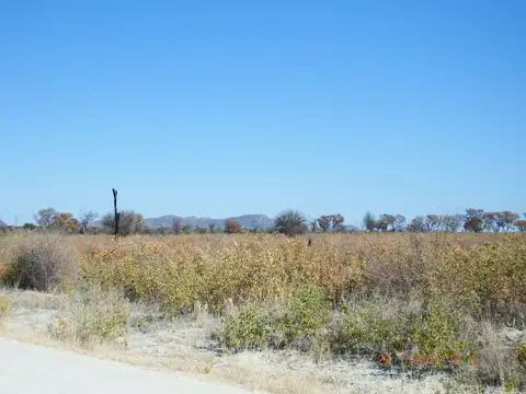 DSCF8626.JPG