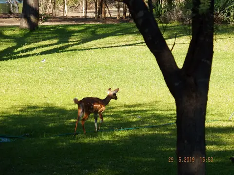 DSCF8662.JPG