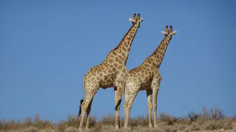 20190413_101527.JPG