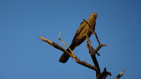 20190419_181729.JPG
