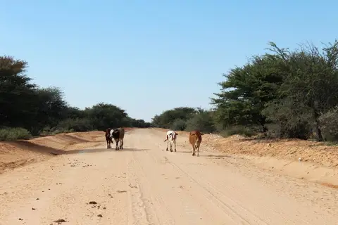 IMG_0744(800x533).jpg